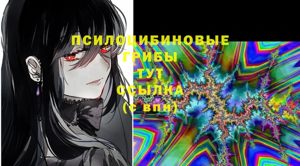 соль ск Арсеньев