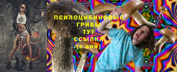 гидропоника Аркадак