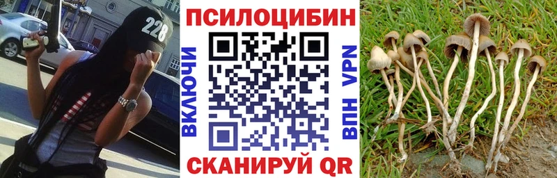 Галлюциногенные грибы GOLDEN TEACHER  Палласовка 