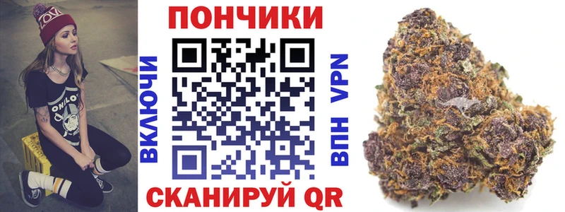 Конопля сатива где купить наркоту Палласовка
